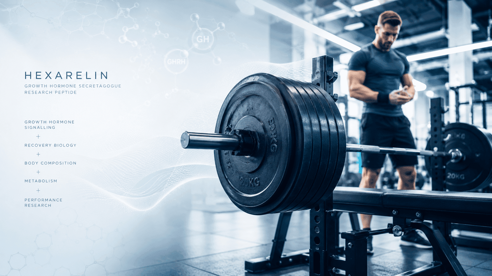 Hexarelin Growth Hormone Secretagogue Peptide
