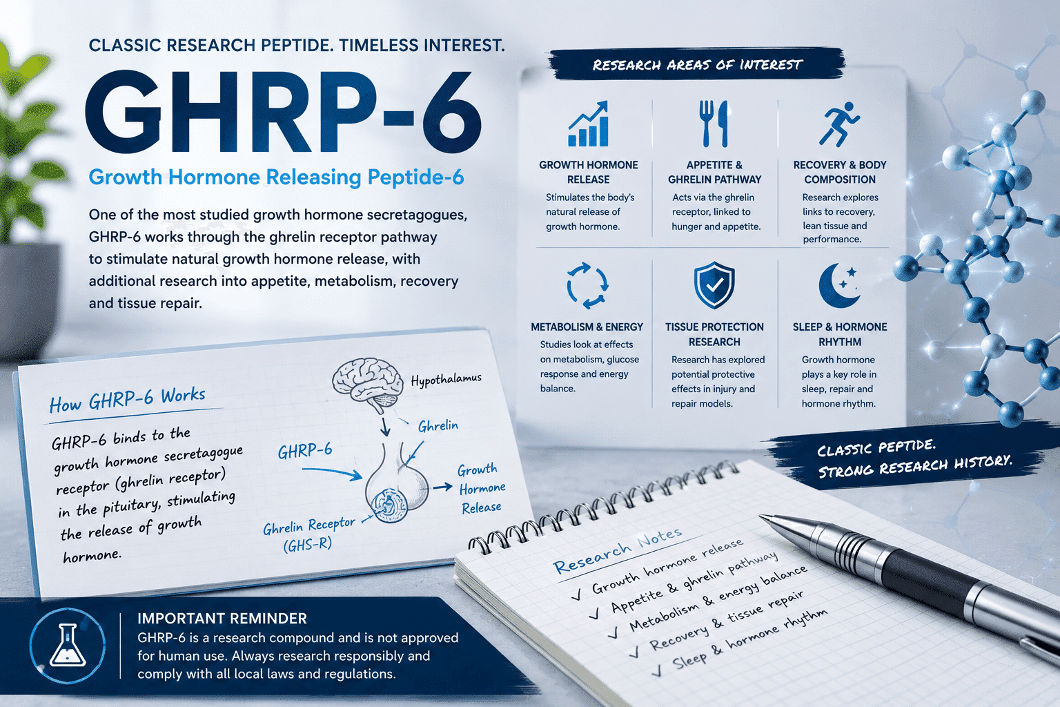 How GHRP-6 Works