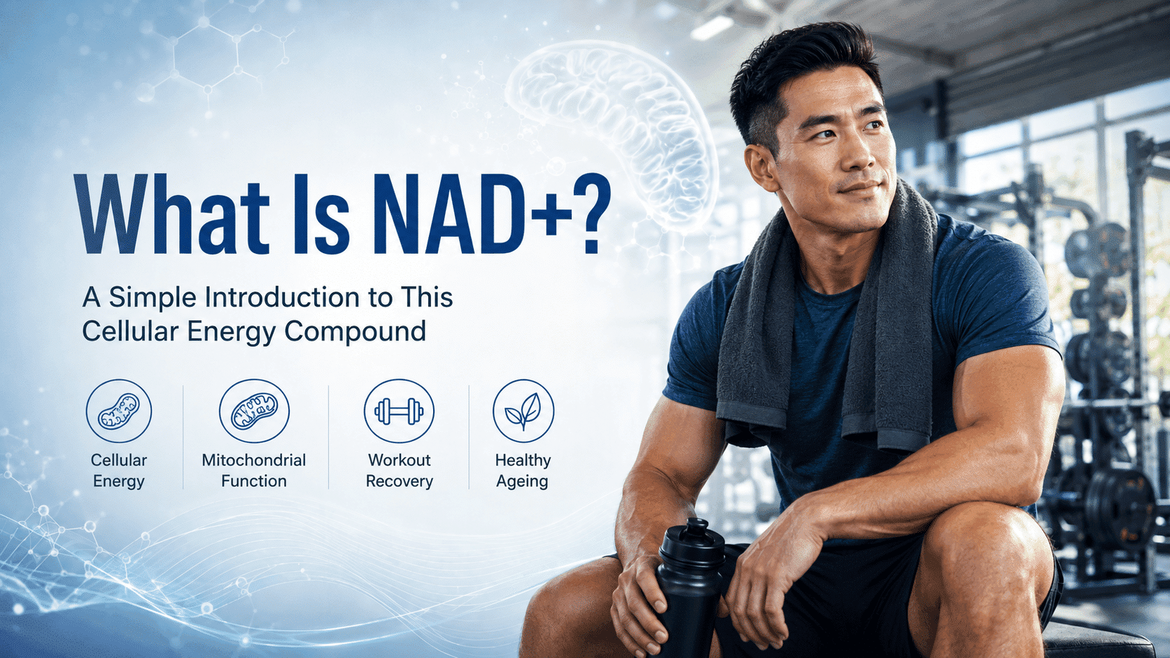 NAD+ Peptide